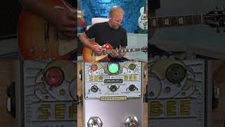 I only have three minutes to show you every feature of the Sea Bee Light. SO PAY ATTENTION