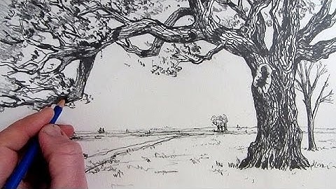 How To Draw A Tree: Narrated step by step