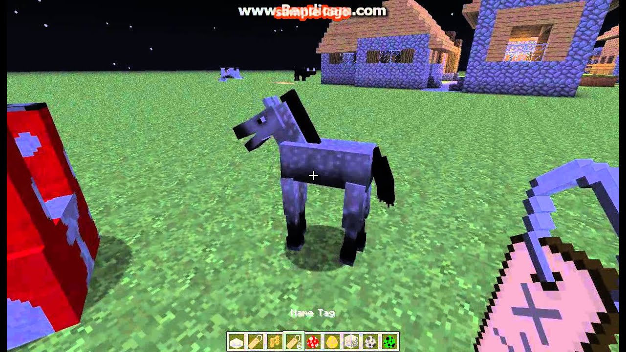 Come Si Addomestica Un Gatto Su Minecraft