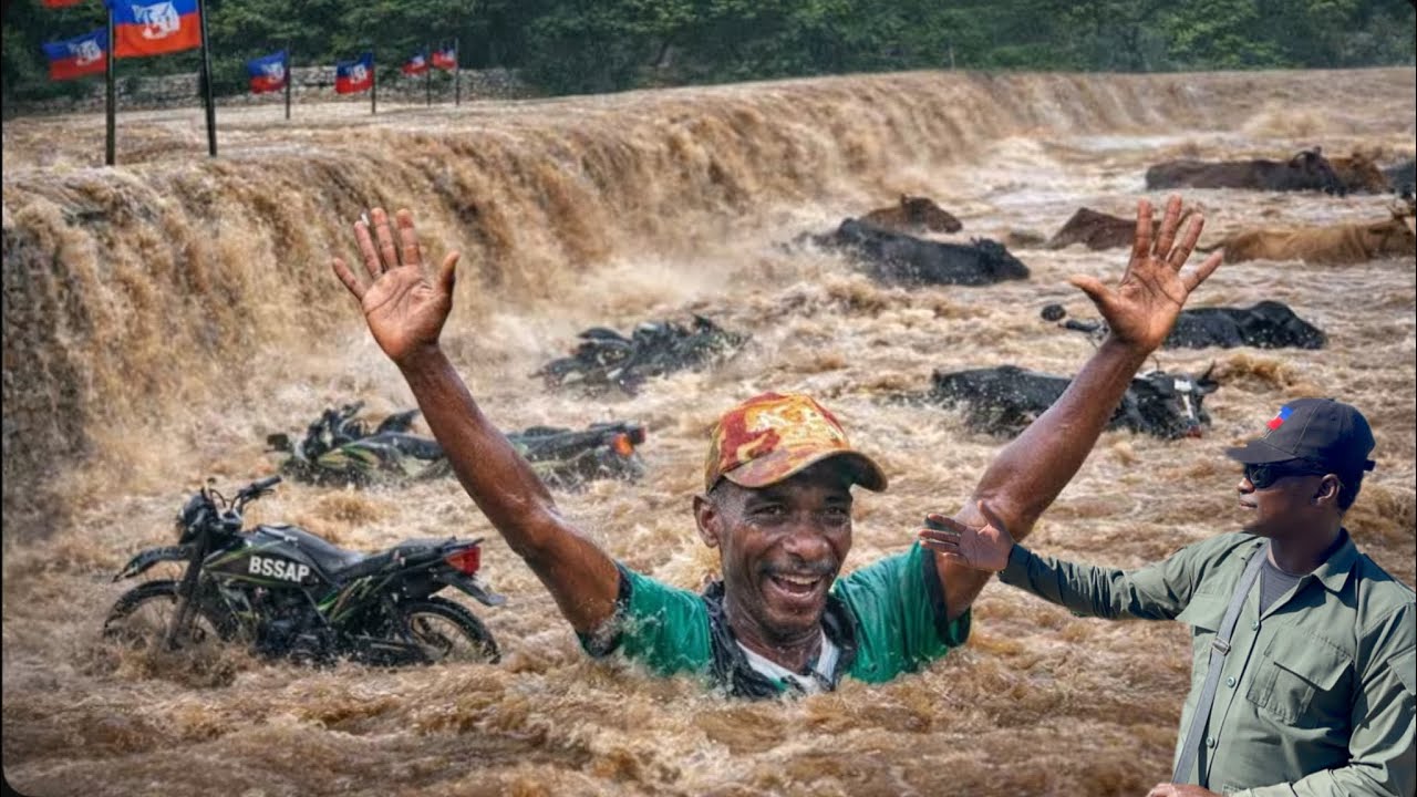 🆘ANMWEYYY MOUN MALFELTI NAN GWO PWOBLEM DLO MOUTE SA FENK PASE👀