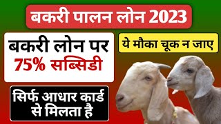 बकरी पालन से हर महीने 70,000 की कमाई || goat farming loan apply online | bakri palan ke liye loan |