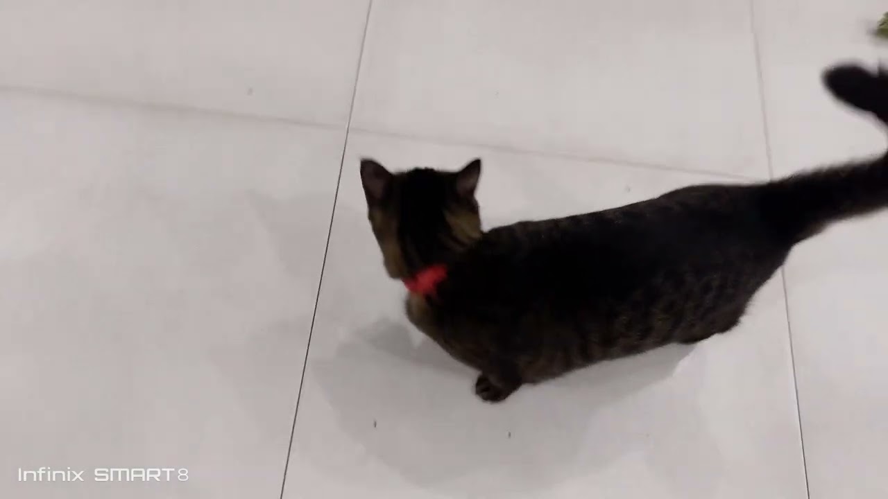 Kinaggiliwan sya ng mga kabarkada nya sa king Louis flower shop 