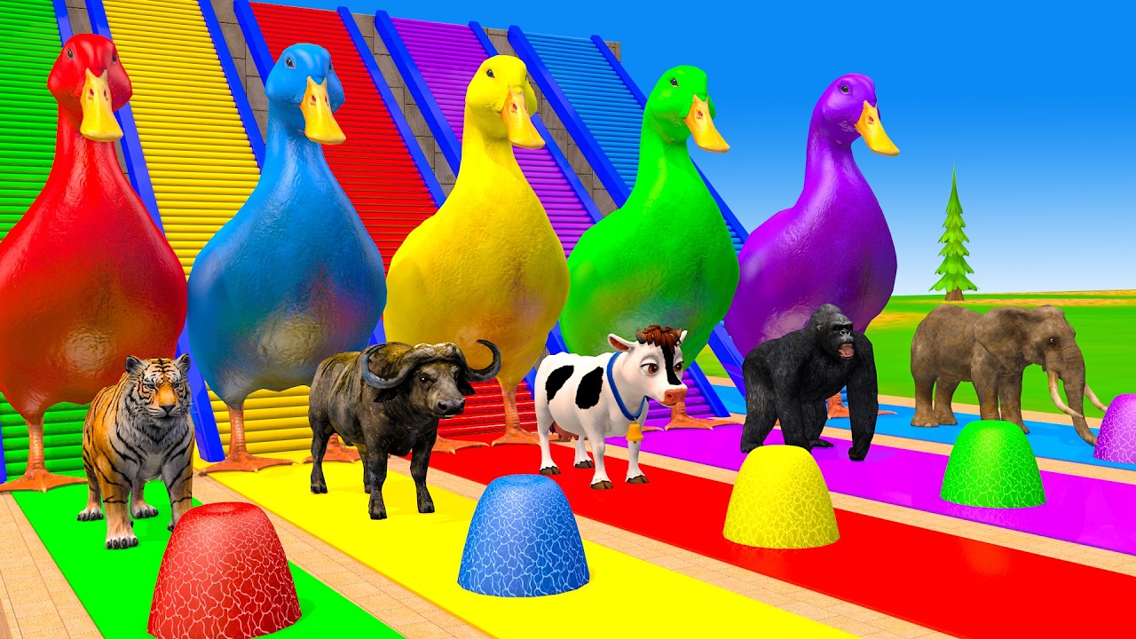Long Slide Game With Cow Elephant Gorilla Hippopotamus Tiger 3d Animal Game Funny 3d Animals
