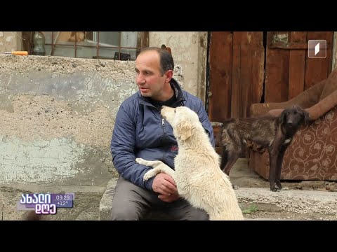 გაიცანით ზაზა თედიაშვილი, რომელმაც საკუთარი ცხოვრება ძაღლებზე ზრუნვას მიუძღვნა