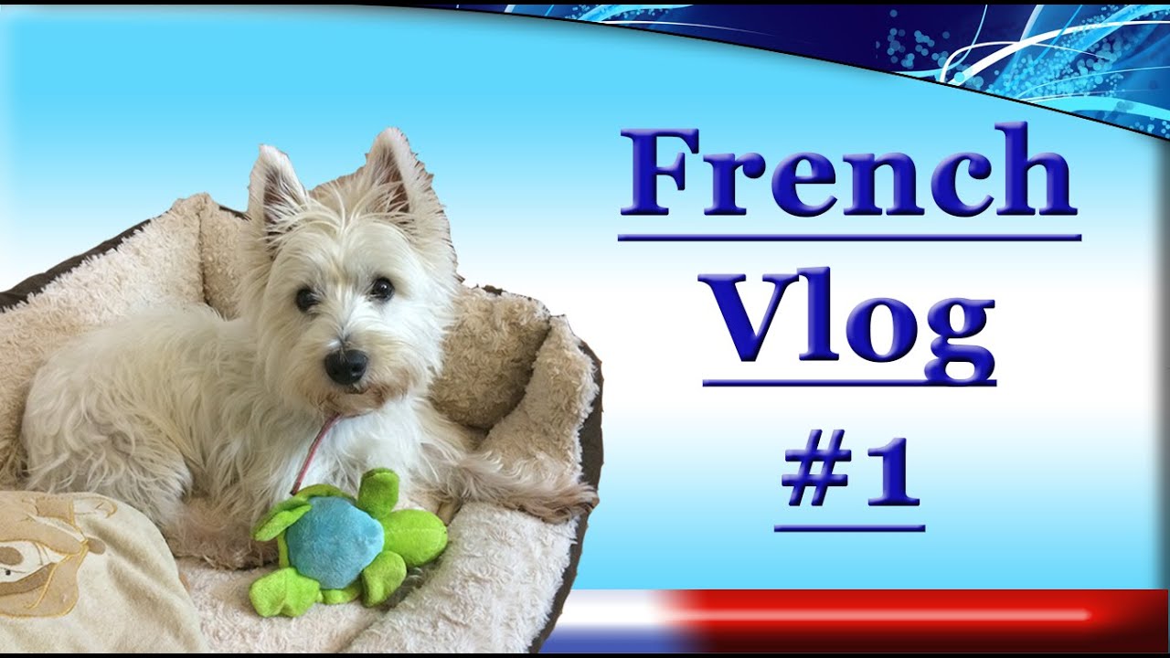 French Vlog #1 - French Conversation - English and French subtitles available french fry recipe