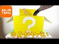 TEMUから届いた謎の５万円のミステリーBOXを開封した結果