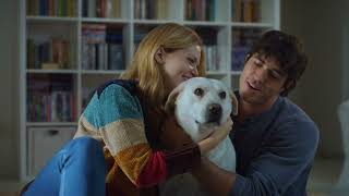 Introducing Petmeet: Dating & Friends App screenshot 3