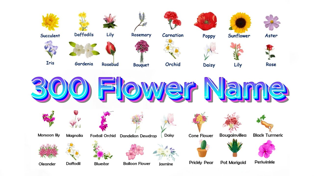 Flowers Name | 300 Flower name in English | Flowers Name in English ...