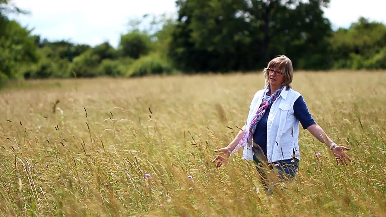 Coaching für Hochsensible (Langversion)