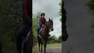 If horses could talk- Hi Barbie