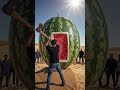 #GiantWatermelon #WatermelonSmash #Satisfying #Desert #Viral #ASMR #FruitChallenge #Satisfyingvideo