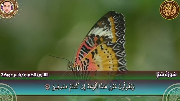 الشيخ ياسر عويضة -  سورة سبأ