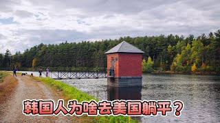 与其改变生活的地方，不如改变生活方式｜《都市人的瓦尔登湖》朴慧润 ｜#恩妮说韩文书 354