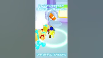 Day 9 Of Checking My Mailbox In Pet Simulator X