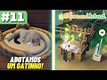 NOVAS FERRAMENTAS E UM GATINHO FOFO! - STARSAND ISLAND! - Gameplay PT BR - #11
