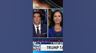 Tulsi Gabbard Exposing Kamala Harris' Campaign #shortsvideo thumbnail
