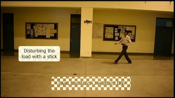 Quadrotor Under Slung Load Stabilization in Hover