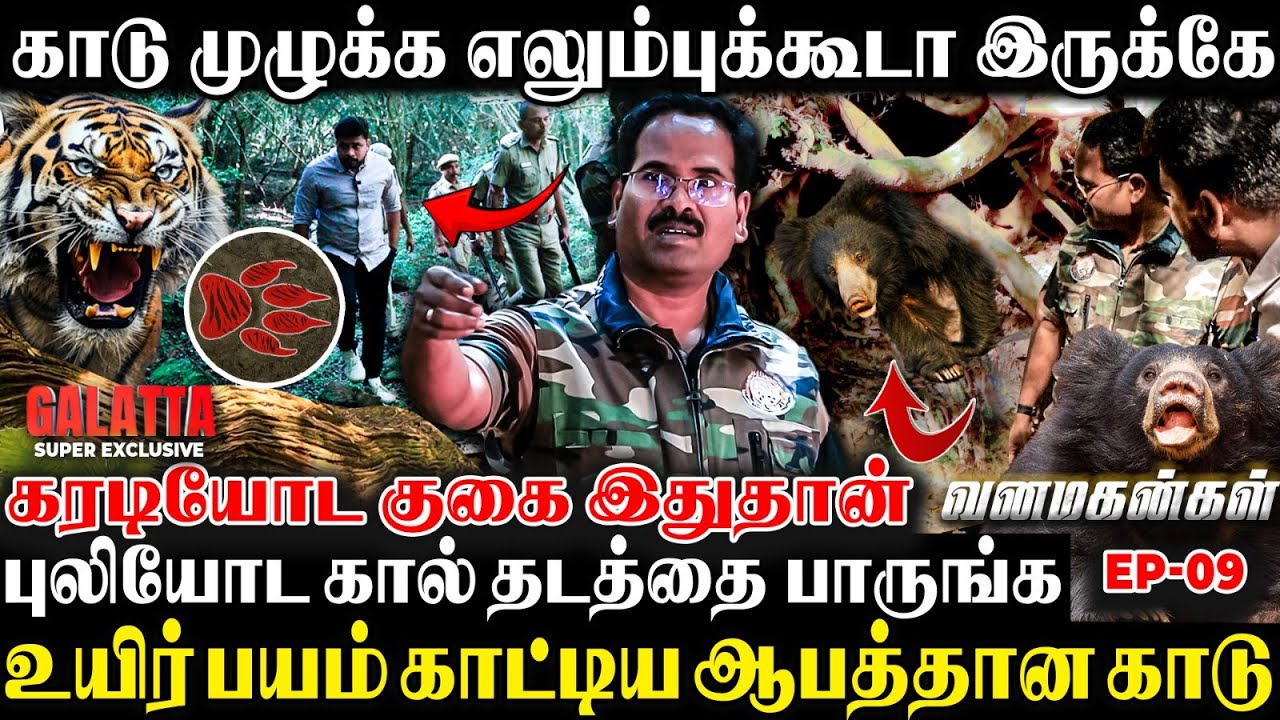 புலி தண்ணி குடிக்க வந்தப்போ தான் அந்த சம்பவம் நடந்திருக்கு😢😱திரும்ப வந்தா தப்பிக்க முடியாது🤯 | EPI 9