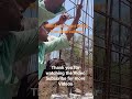 Practical Engineering Submersible Bridge Reinforcement Mesh Pier. #engineering