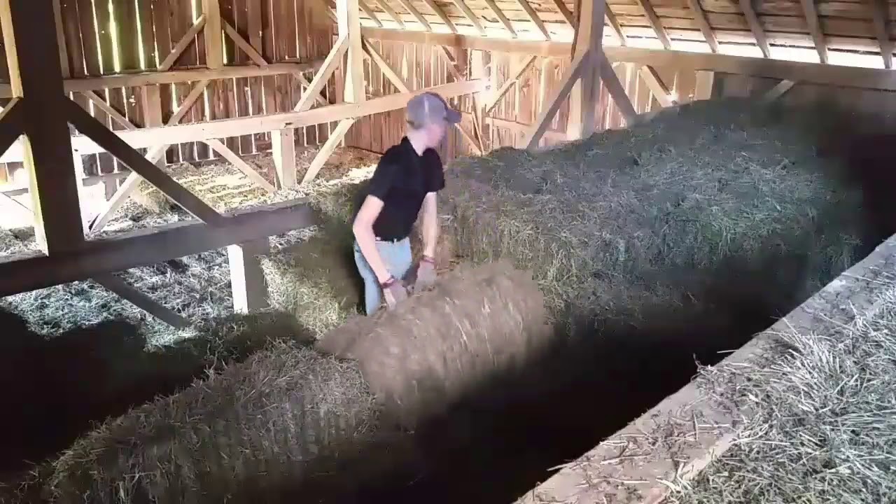 camera iphone 8 plus apk Stacking 2nd Cut hay!