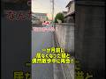 一か月前に居なくなった猫と偶然散歩中に再会！ #癒し #元気になる動画 #猫のいる暮らし #猫のいる暮らし #猫 #子猫 #adorably #猫のいる生活 #ねこ #cat #可愛い