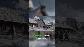 How Vikings Outsmarted the Cold With One Simple Move #survival #historical