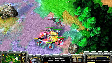 Wc3 Surround Fail (HD)