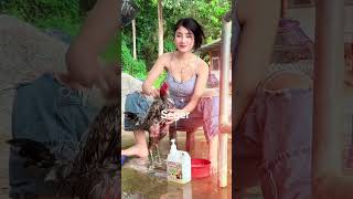 pecinta ayam Bangkok #ayambangkok #ayambangkokindonesia #ayamaduan #shortvideo #ayampakoy