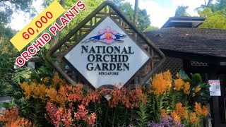 [4K] NATIONAL ORCHID GARDEN | SINGAPORE BOTANIC GARDENS | NPARKS  FULL TOUR ADVENTURE