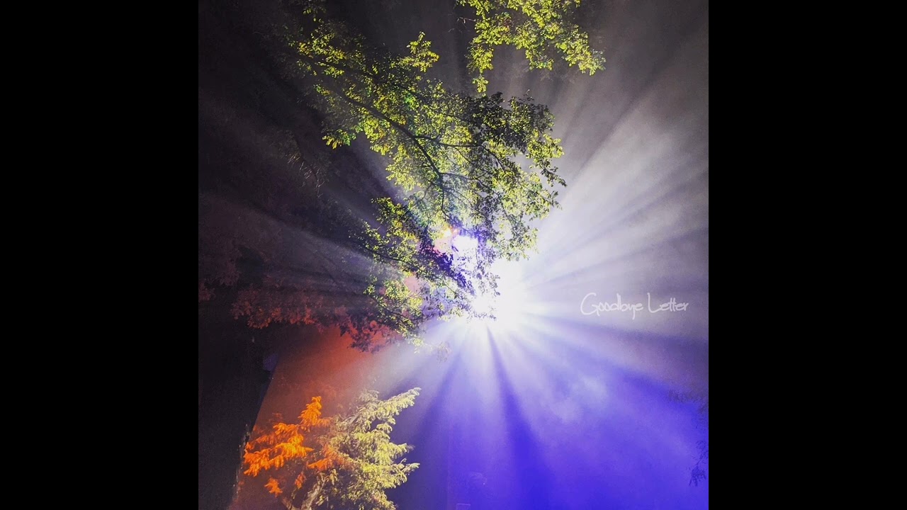 Goodbye Letter - Raven Alexys