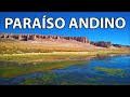 PPA2 EP03 SALAR DE TARA CHILE