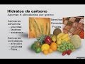 44 Alimentos BAJOS EN CARBOHIDRATOS (No Todos son ...