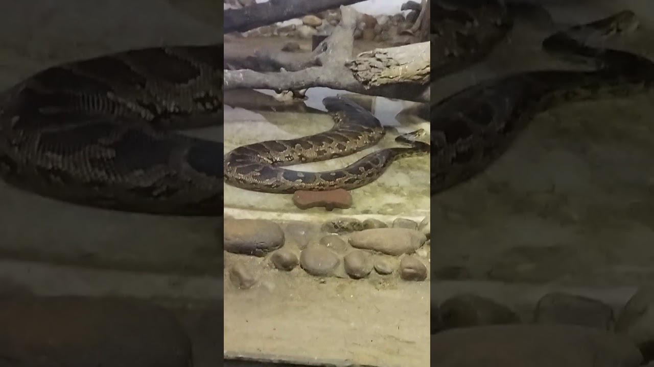 Ajagar, kankariya, ahmedabad