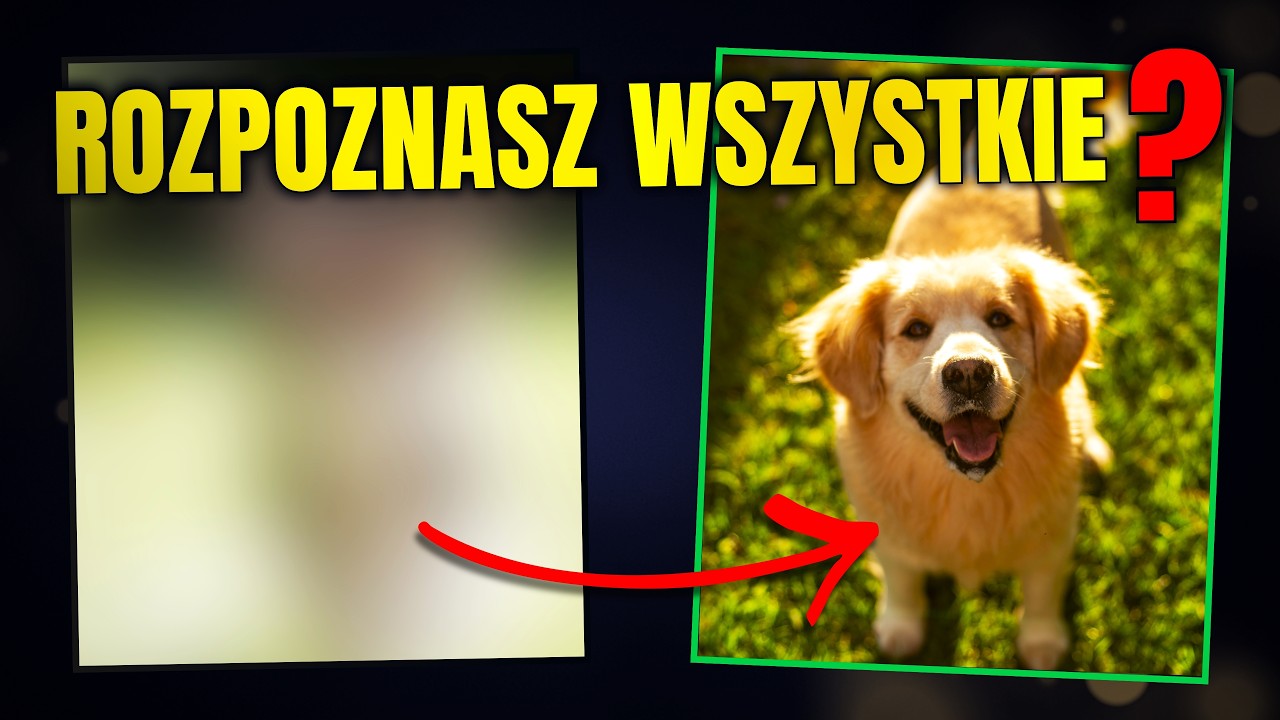 Rozpoznasz zwierzę przed upływem czasu? Quiz dla całej rodziny.