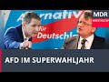 Extrem (und) unter Druck - Die AfD im Superwahljahr | Doku