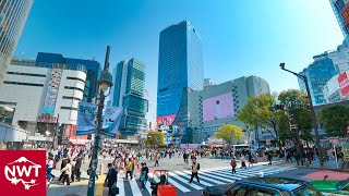 Tokyo Shibuya 2021 Spring 4K