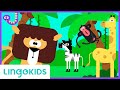 Wild animals song  safari chants for preschoolers  lingokids music