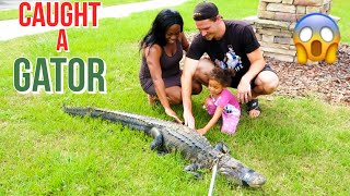 CAUGHT AN ALLIGATOR IN OUR BACKYARD!