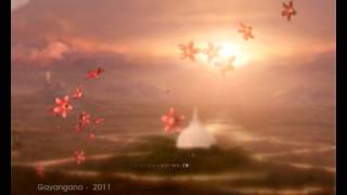 2011 september ID.flv