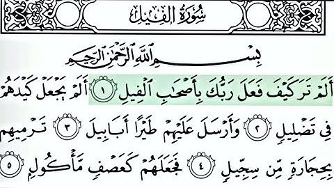 105-Surah Al-Feel | By Abdur-Rashid Sufi | Full With Arabic Text (HD) | سورة الفيل