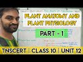 Tnscert  class 10  unit 12  plant anatomy and plant physiology  part 1