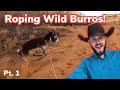 Roping wild burros on navajo reservation pt 1 vlog 32