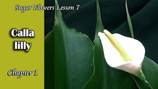 Sugar Calla Lilly අයිසින් වලින් ලීලී මලක් හදමු online sugar flower course