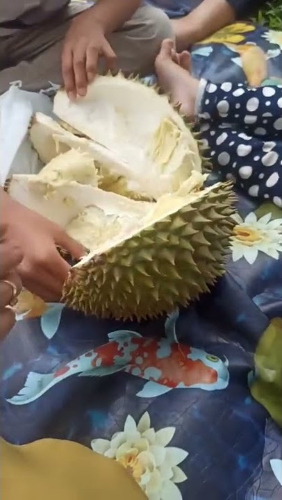 Nikmatnya makan durian