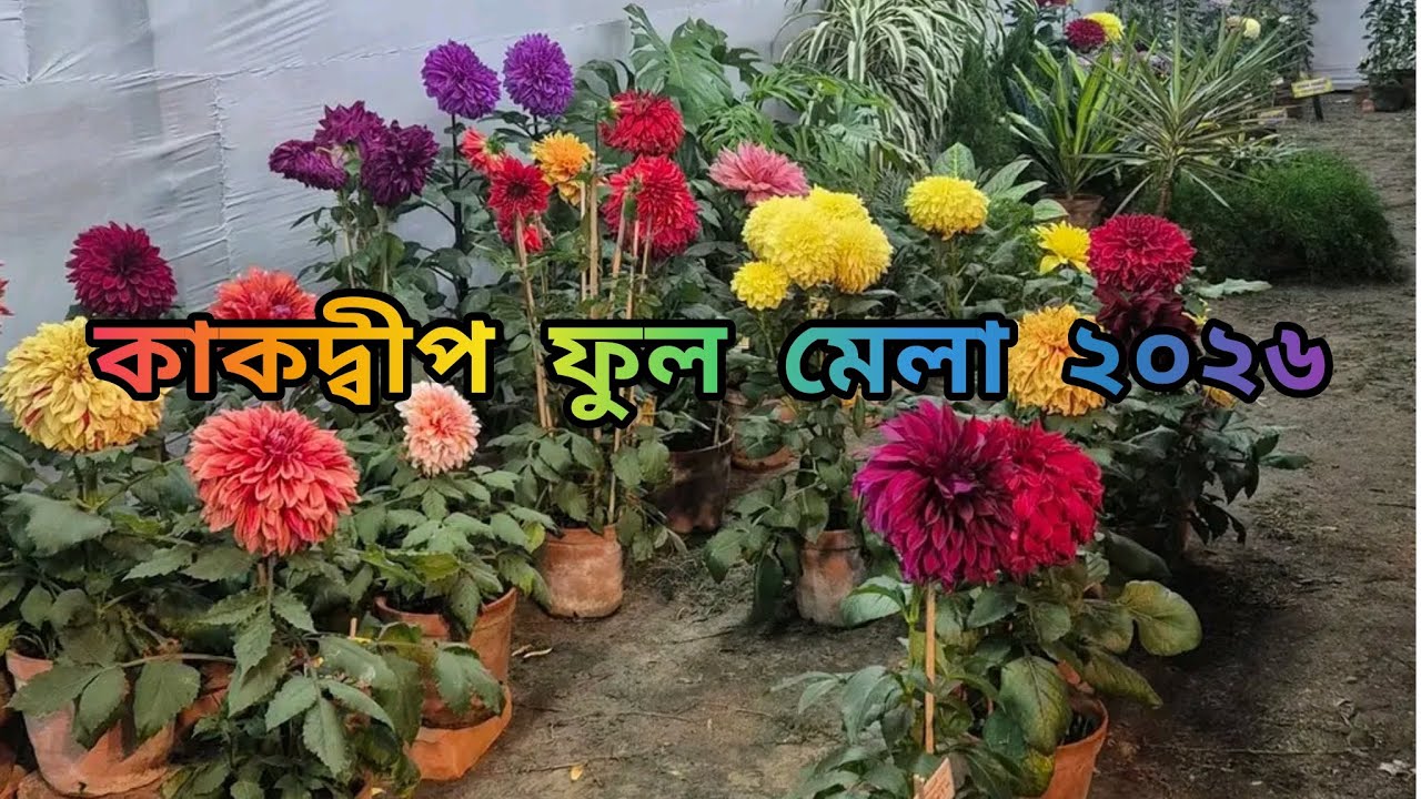 কাকদ্বীপের ফুল মেলা 2026💐🌷🌸🌼🏵️