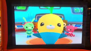 Octonauts Creature Report Season 13 Episode 3 Baby Seagulls And Eastern Rock Lobster