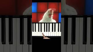 J.Geco - 🐔Chicken Song (Piano Easy)#shorts #chickensong #pianocover #pianotutorial