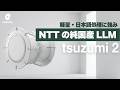 NTTの純国産AI tsuzumi 2、tsuzumi 2 Visionモデルのすべて