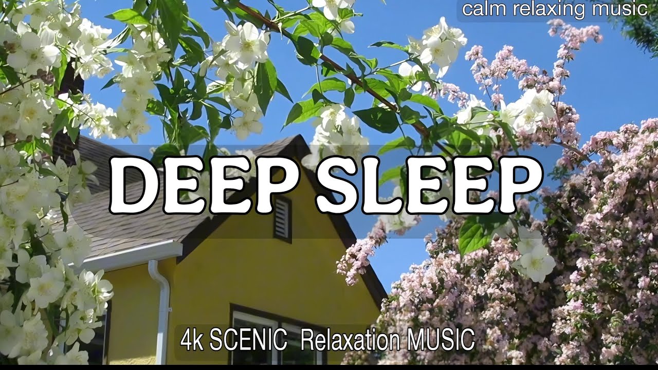 DEEP SLEEP MUSIC FOR QUALITY SLEEP AND BETTER 🍀HEALTH WITH RELAXING ...