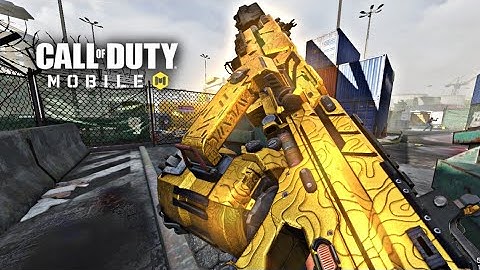 Dingo Broken Gunsmith !